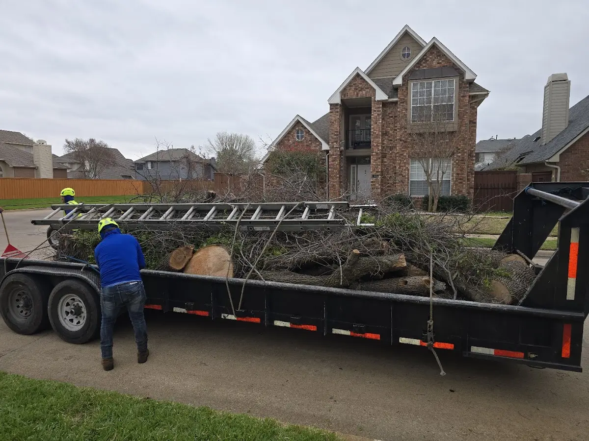 Expert Lot Clearing with proper safety equipment in Malibu